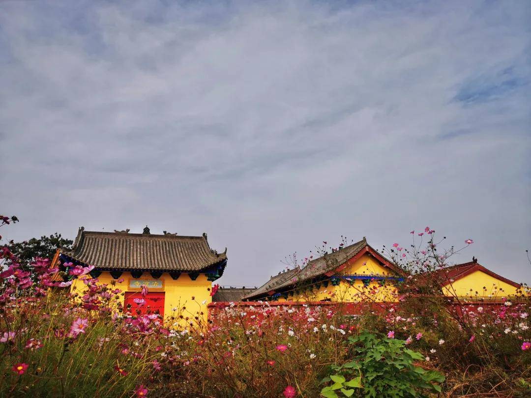 孟州趙和鎮蘇莊村洛陽都市圈古村落推薦