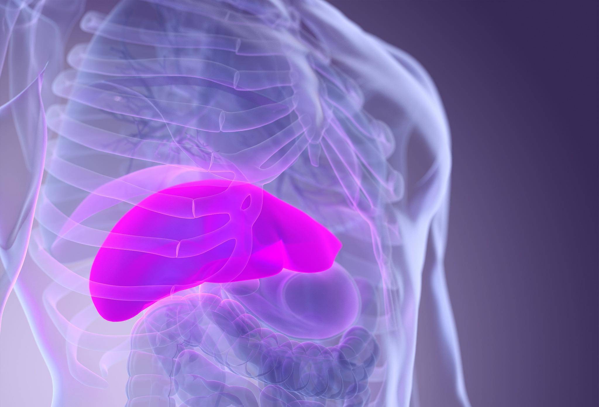 功能|吃太多肉会伤肝？有些真正伤肝的行为，建议改