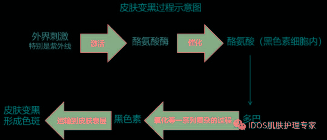 祛痘护肤避坑指南