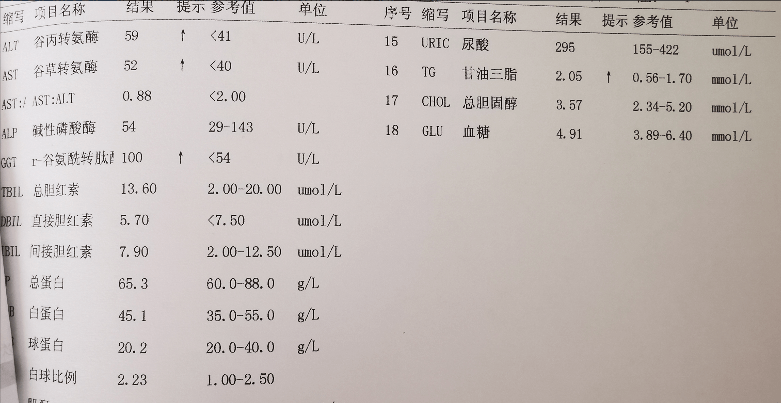 乙肝五项检查报告单图片