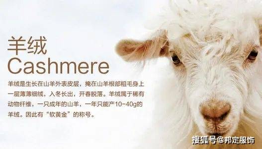 面料 穿大衣的那个背影,总觉得格外的帅气是怎么回事?