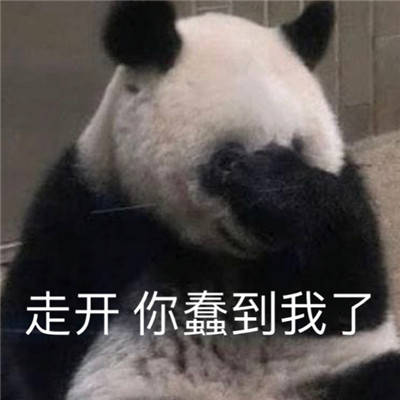 95a5fb3b5b7e4055adccd18c8563391b.jpeg