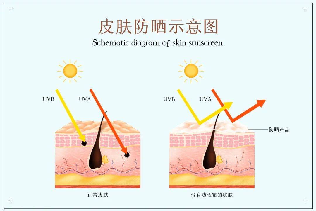 产品为什么要防晒？——养儿不防老，防晒才防老