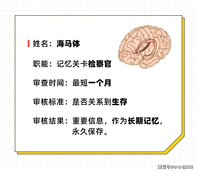 信息|期末来了！对于“撂爪就忘”的娃，这个复习方法神了！