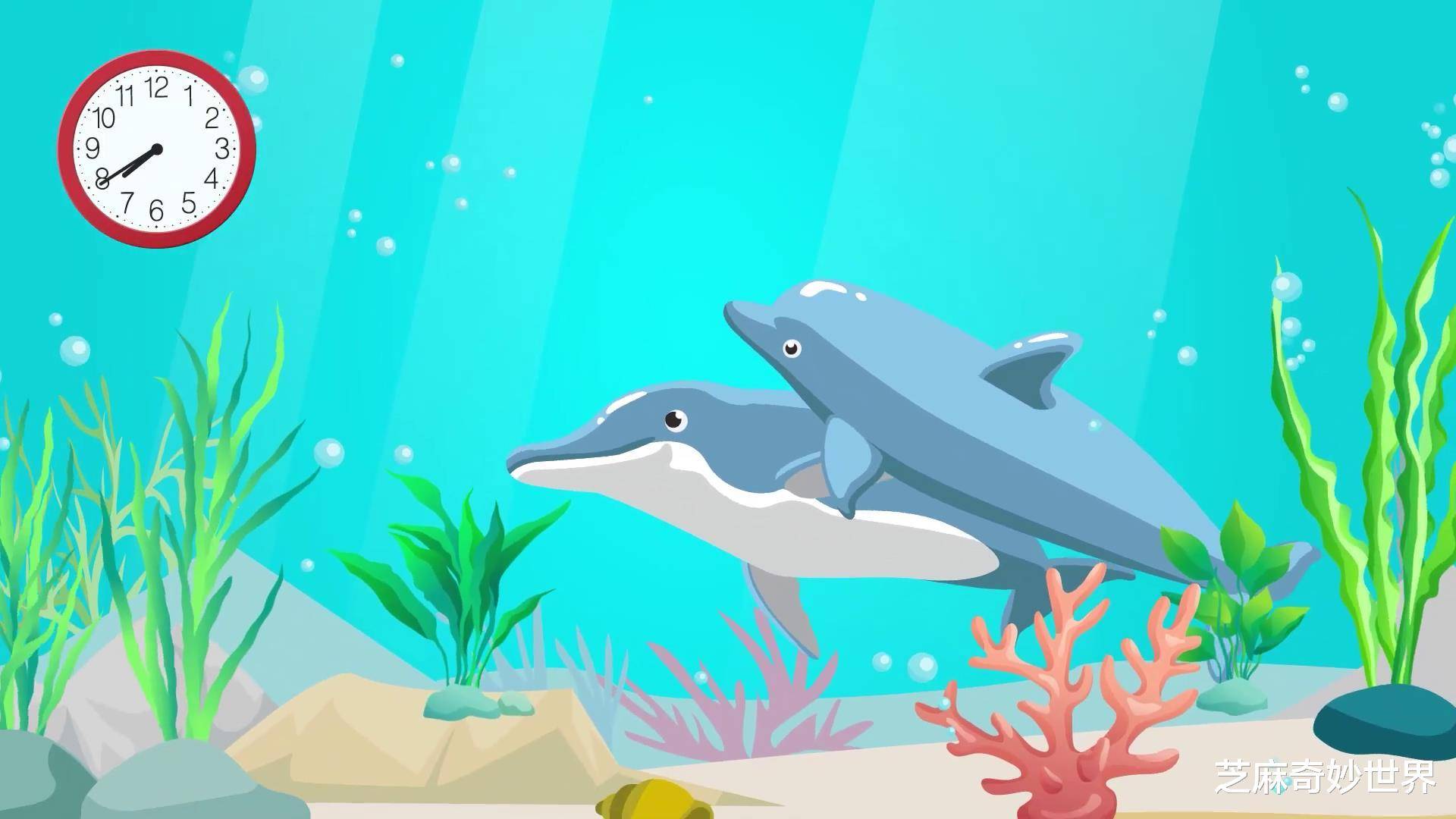 海豚15分钟内发生15次交配，负鼠持续一个月，交配数量最多的物种_手机搜狐网