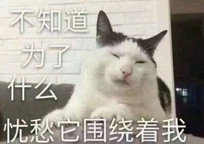 下巴明星的N种“假下巴”，尖到戳死人，翘成老巫婆，一个比一个怪异