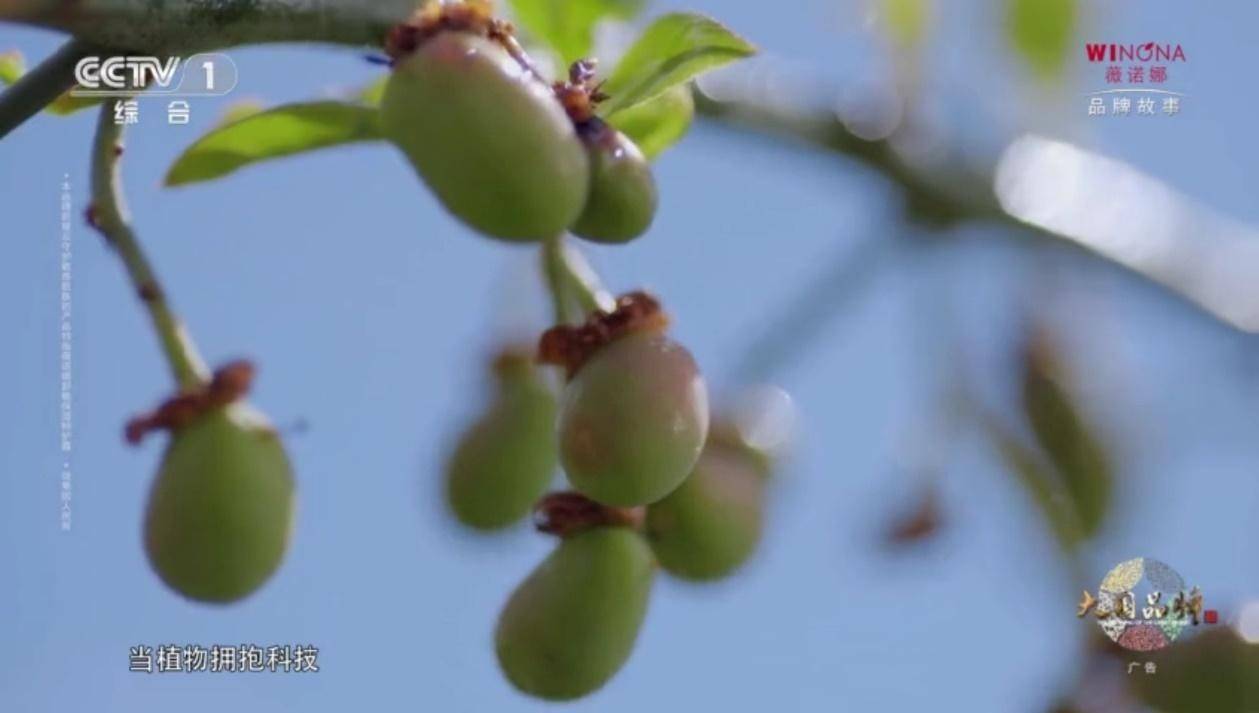 典范实力与口碑齐飞，薇诺娜齐揽年度两大奖项成行业典范