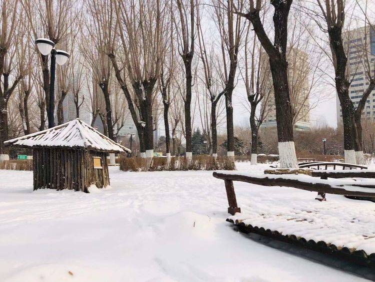 诗歌|诗歌：与你相遇（外三首）