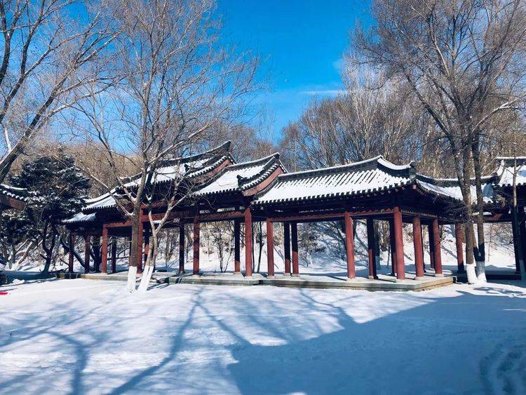 诗歌|诗歌：与你相遇（外三首）