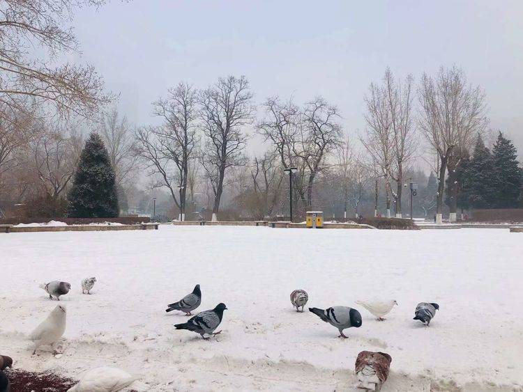 诗歌|诗歌：与你相遇（外三首）