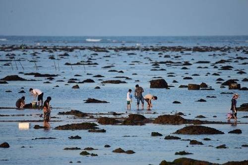 原創日照趕海攻略日照潮汐表免費趕海地