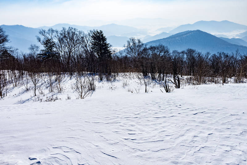 航班|冰雪迎冬奥 嗨翻在吉林 滑雪季快来吉林撒欢吧！