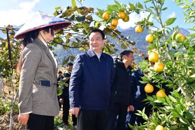 王君正在林芝市调研