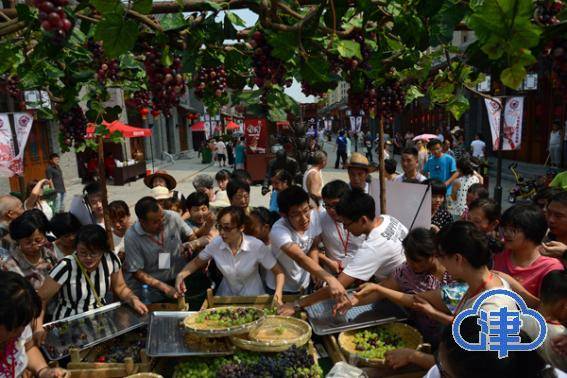 生活|脱贫致富的双街村，看“运河明珠”这样闪亮……