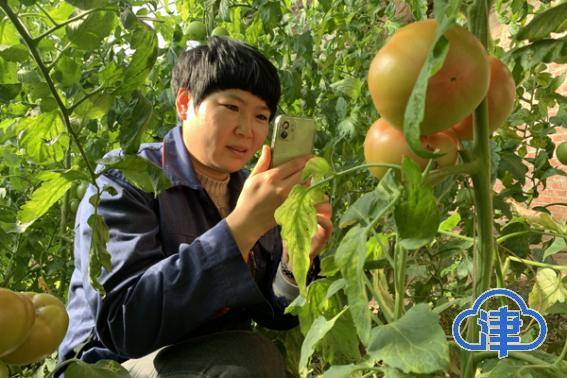 生活|脱贫致富的双街村，看“运河明珠”这样闪亮……