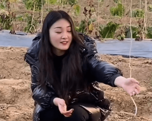 济南台主持人劲彬辣评直击要害!_直播_婚姻_目的
