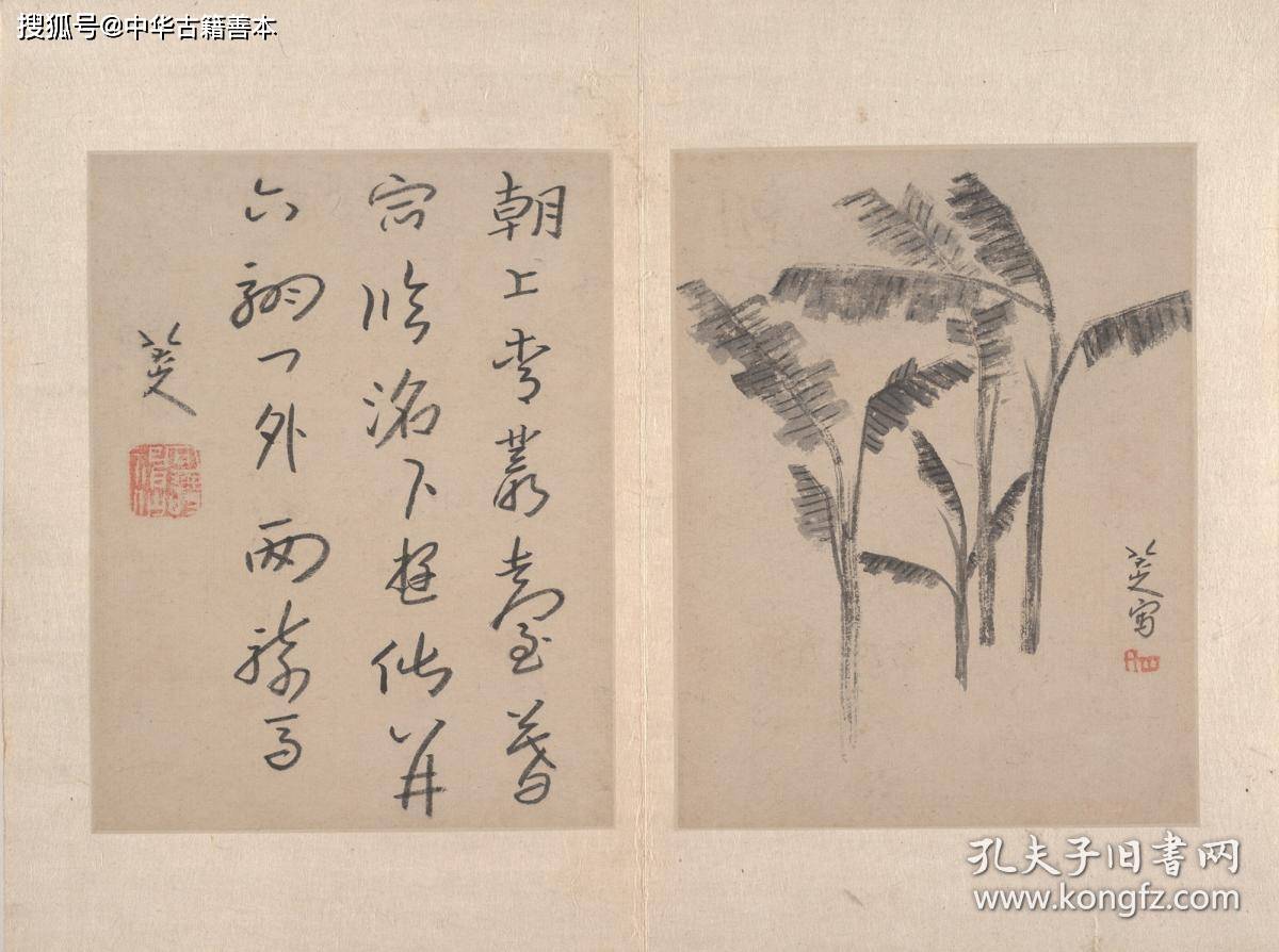 册页|八大山人绘画册页：明清水墨写意画划时代的大师