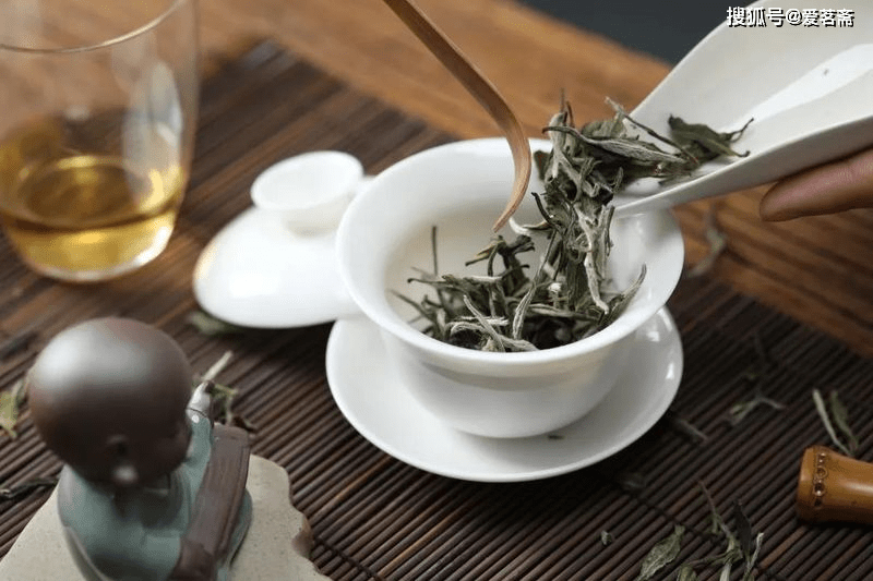 中分|泡白茶,如何控制茶汤的浓度?