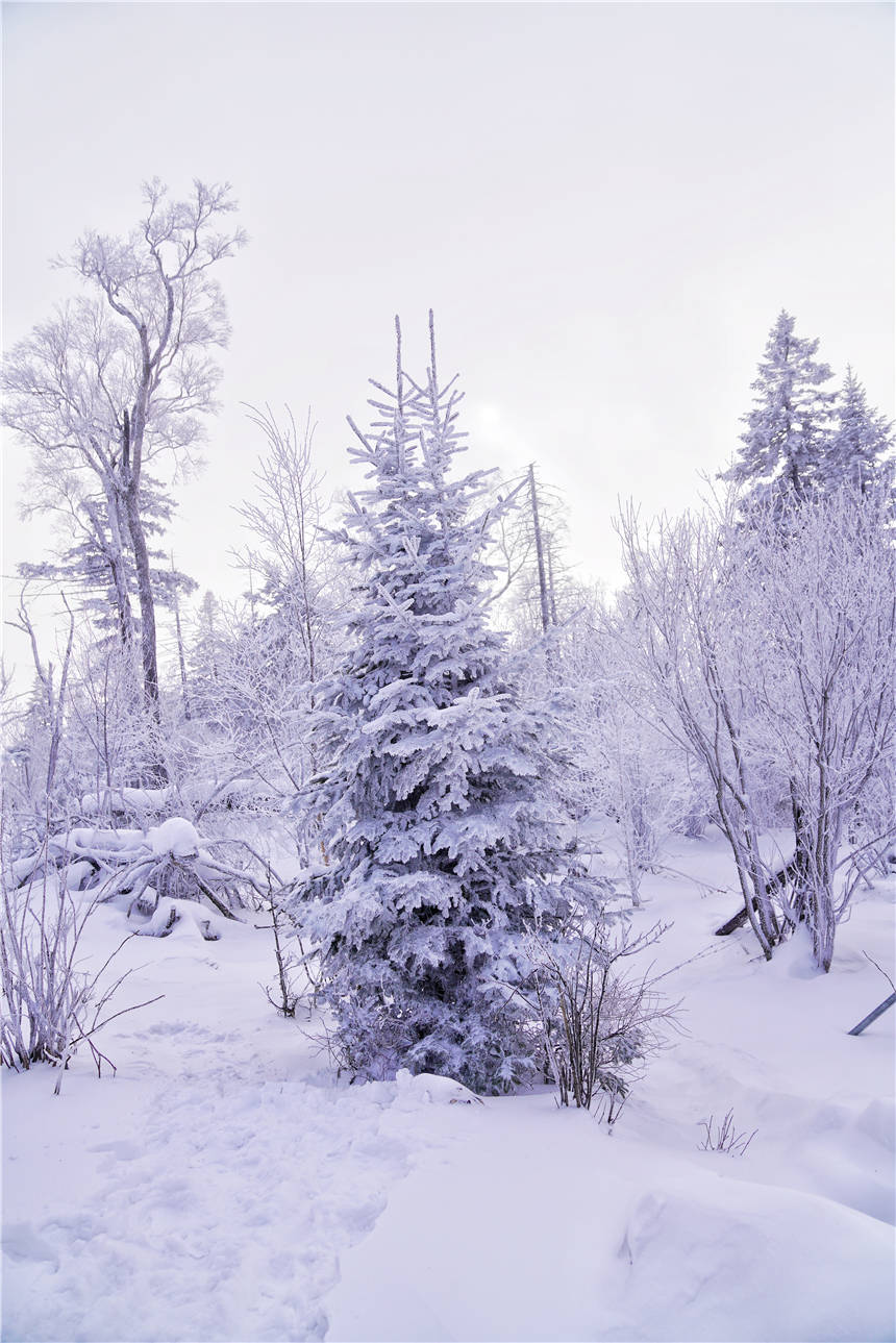 滑雪场|冬季旅游的正确打卡方式，北大壶滑雪场，粉雪天堂，速度与激情