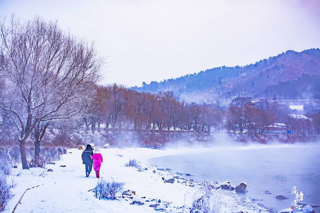 云雾|吉林松花江畔有一座“小雾凇岛”，雪后风景如画，吸引了众多游客