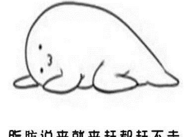 8dbfc17902d54d7c83d5f197cce90ab6.jpeg