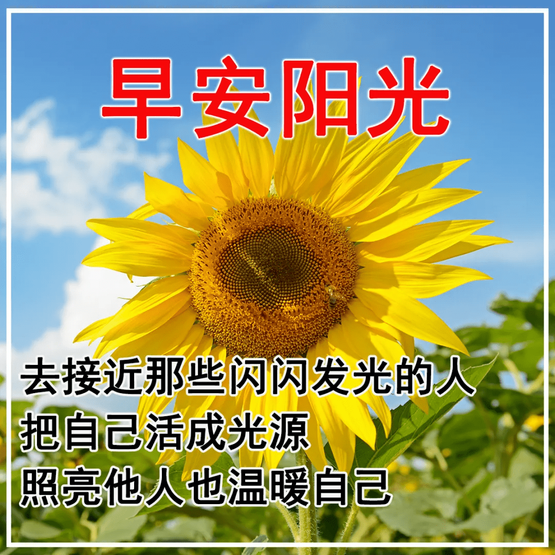 冬日早安日常祝福語大全 冬天早安動態圖片大全漂亮_問候_親愛的朋友