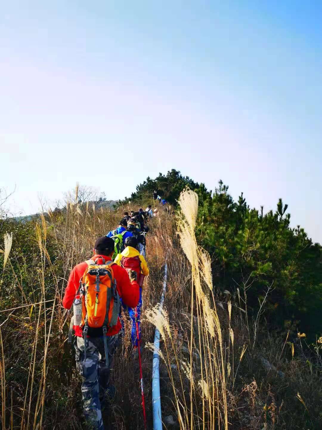 苏州徒步活动灵树线打卡驴友小学毕业线