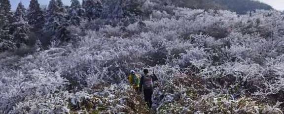 茂林修竹、冰花雾凇……人在景中跑！1700人，桐庐山地穿越挑战赛开跑