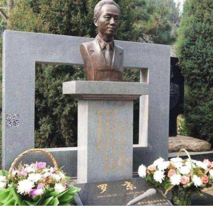 罗京11年前去世 儿子长大 妻子再婚 但他的墓地里却出现了一个"奇怪的