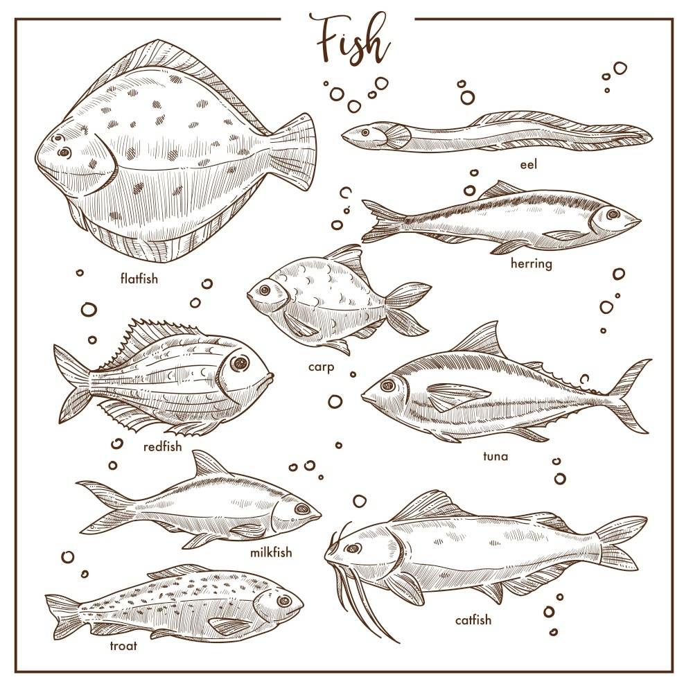 浮出海面的瞬间",这个是钓鱼少鳞鱚,真鲷等鱼所不可以感受的一种触动