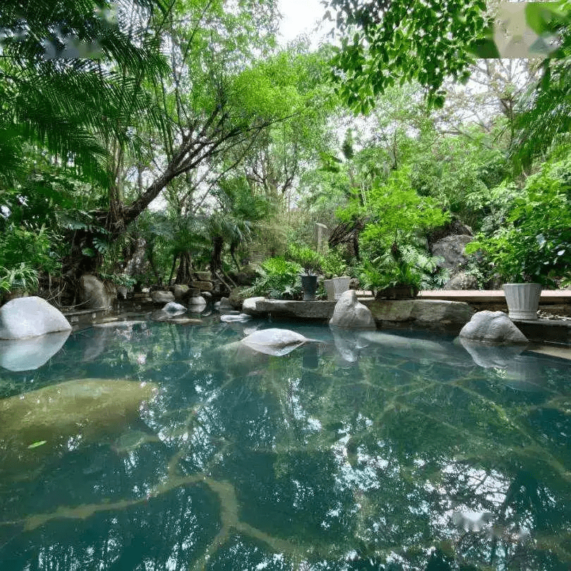 水汽|腾冲冬日生活指南 | 一池温热，盛满人间清欢