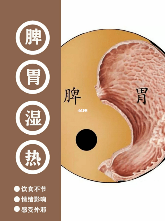 然而脾生理特点为"喜燥恶湿",脾气升运要求脾体干燥,不被痰饮水湿所困