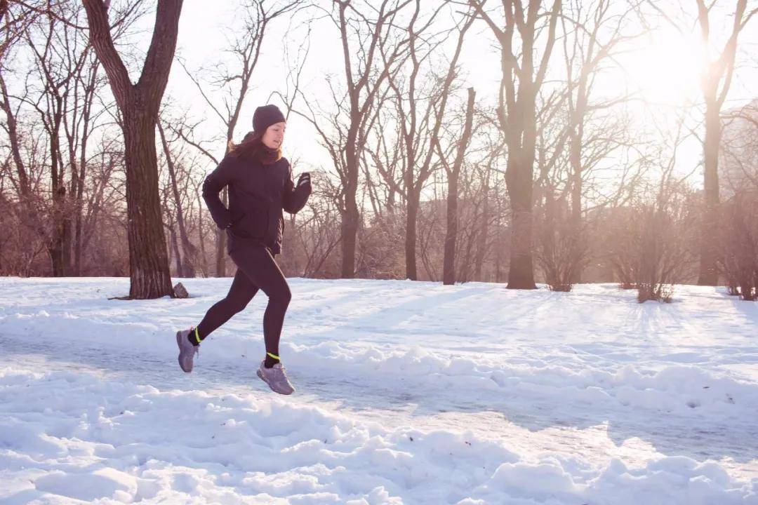 经络|冬至后进补 怎么吃才不会滚成「肉球」？