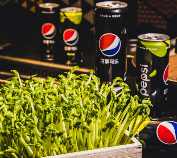 什么|聚餐如何调动氛围?来点百事可乐,绝对的“汽”氛担当