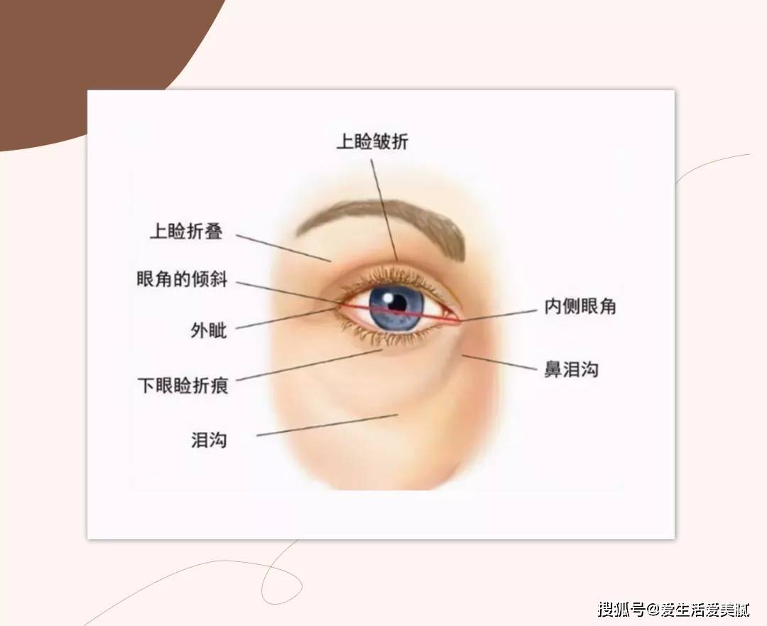 严重嘉宜老师小课堂|：这些陋习，让你变丑的速度超过99%的同龄人！