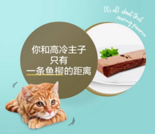 智商|爱普士——猫零食的这些智商税,你有交过吗?