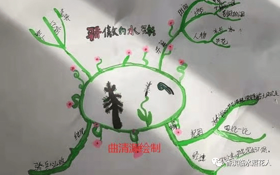 【思维导图创意作文展示】曲清源的创编寓言故事——骄傲的水杉67