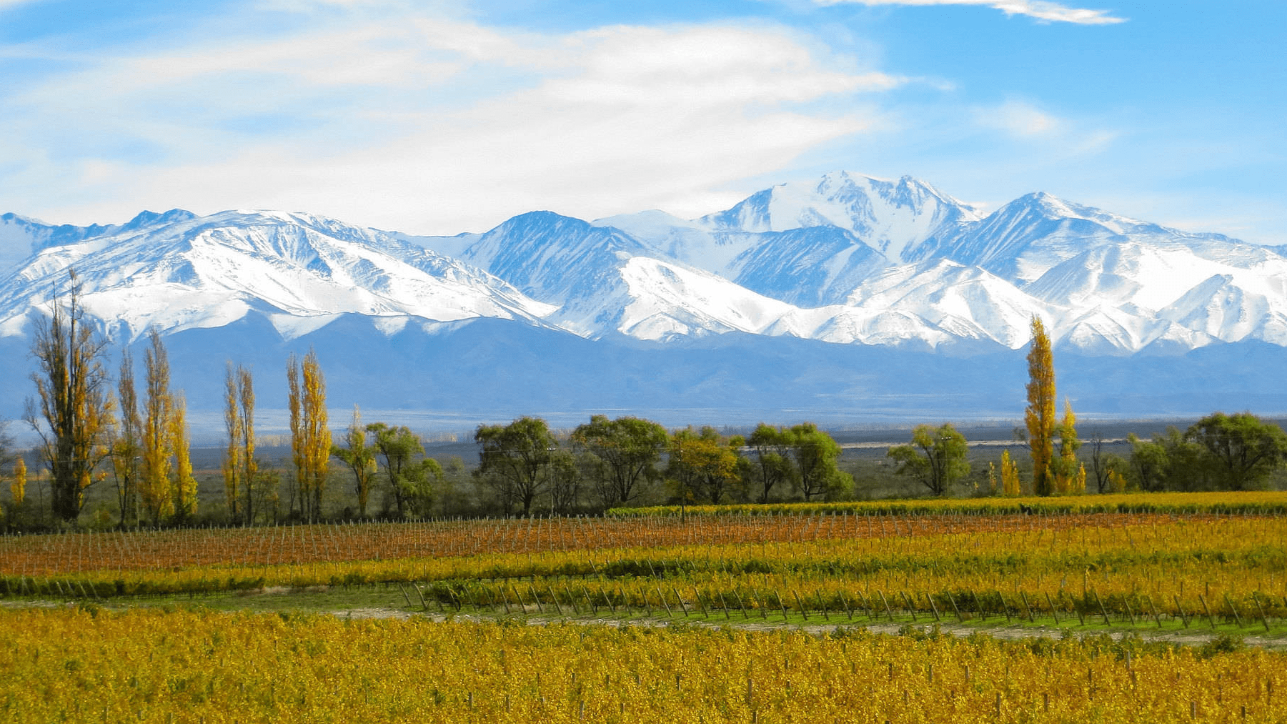 足球|最敢“叫板”美国的南美国家，足球和这个东西，让美国人没了脾气