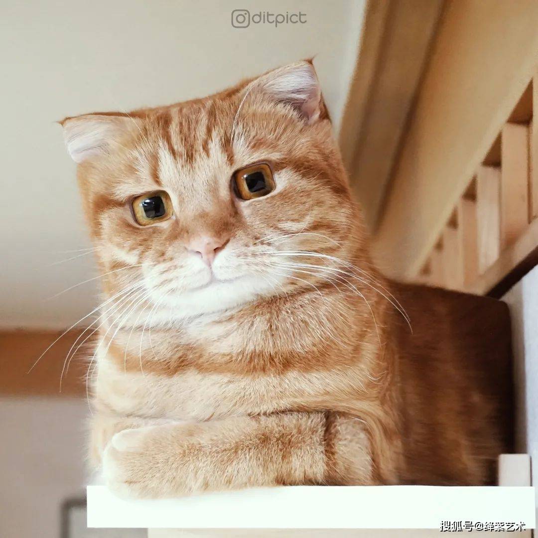 世间万物都变成方形，这些搞笑的数字作品，\u200b谁看谁“方”_搜狐网, image size:1080x1080