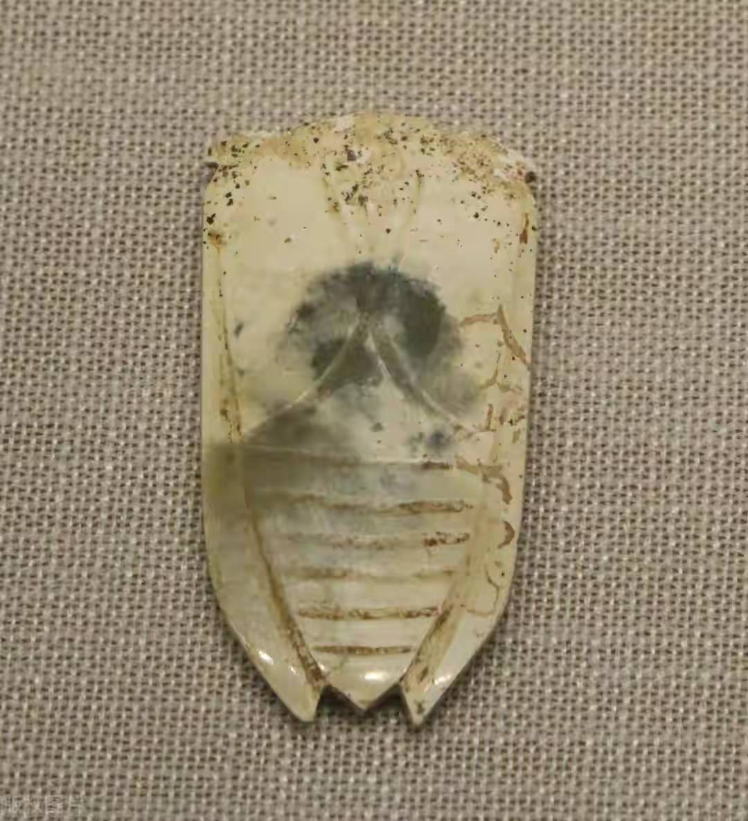 文化散文:为什么古人殡葬时要含玉琀?_死者_习俗_汉代