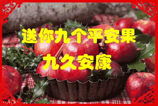 ed57a263342f409098703e2a3acded9c.gif