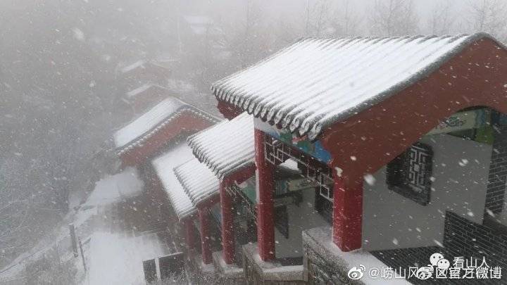 雪景|雪后青岛：雪中景、雪中忙、雪中情、雪中乐……集全了