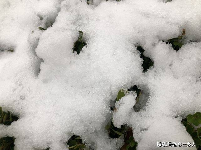 啥时候下大雪几月几日 67ffa3058a4a4b2c9caf9058549d6be4.jpeg