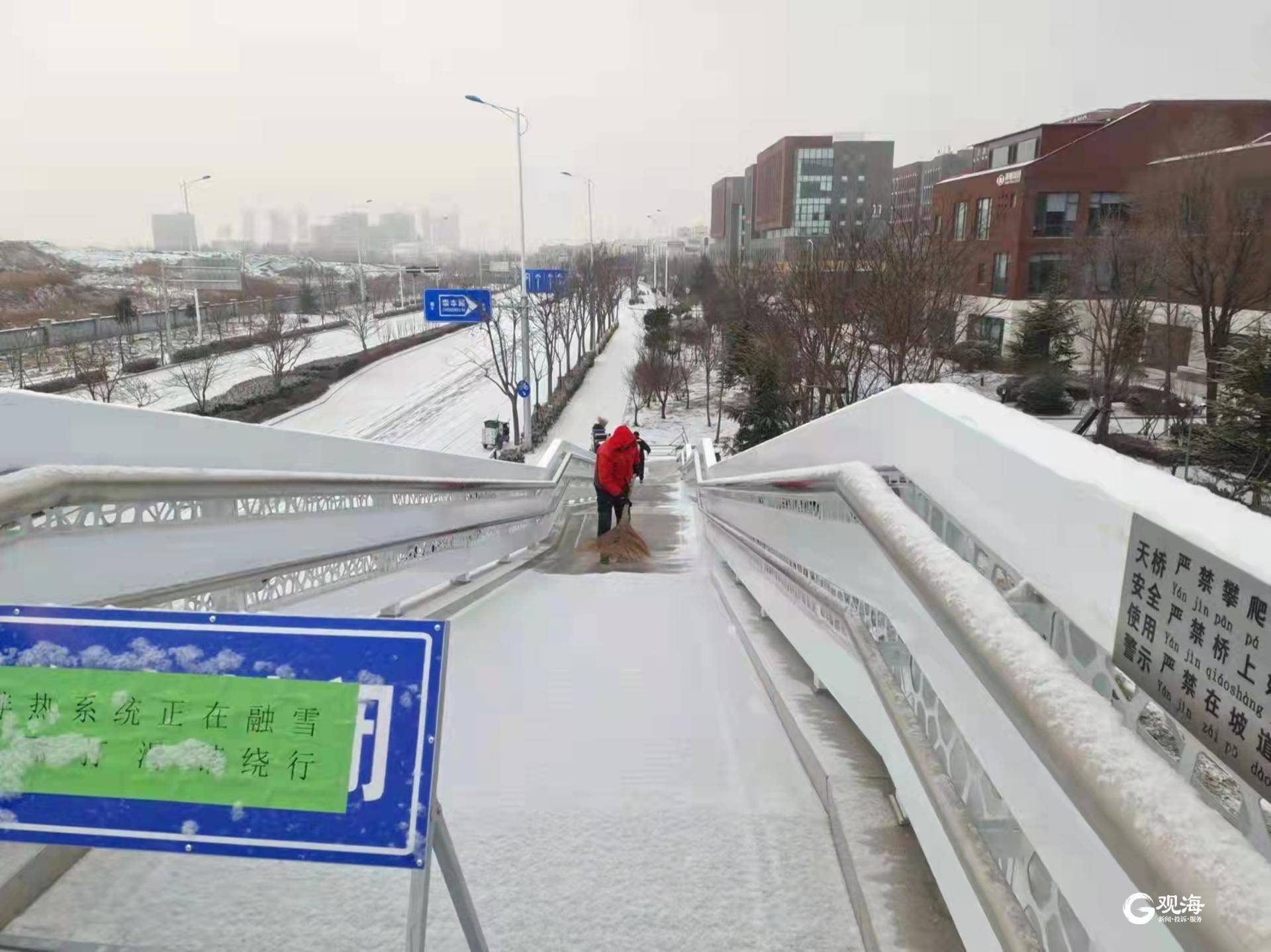 雪景|雪后青岛：雪中景、雪中忙、雪中情、雪中乐……集全了