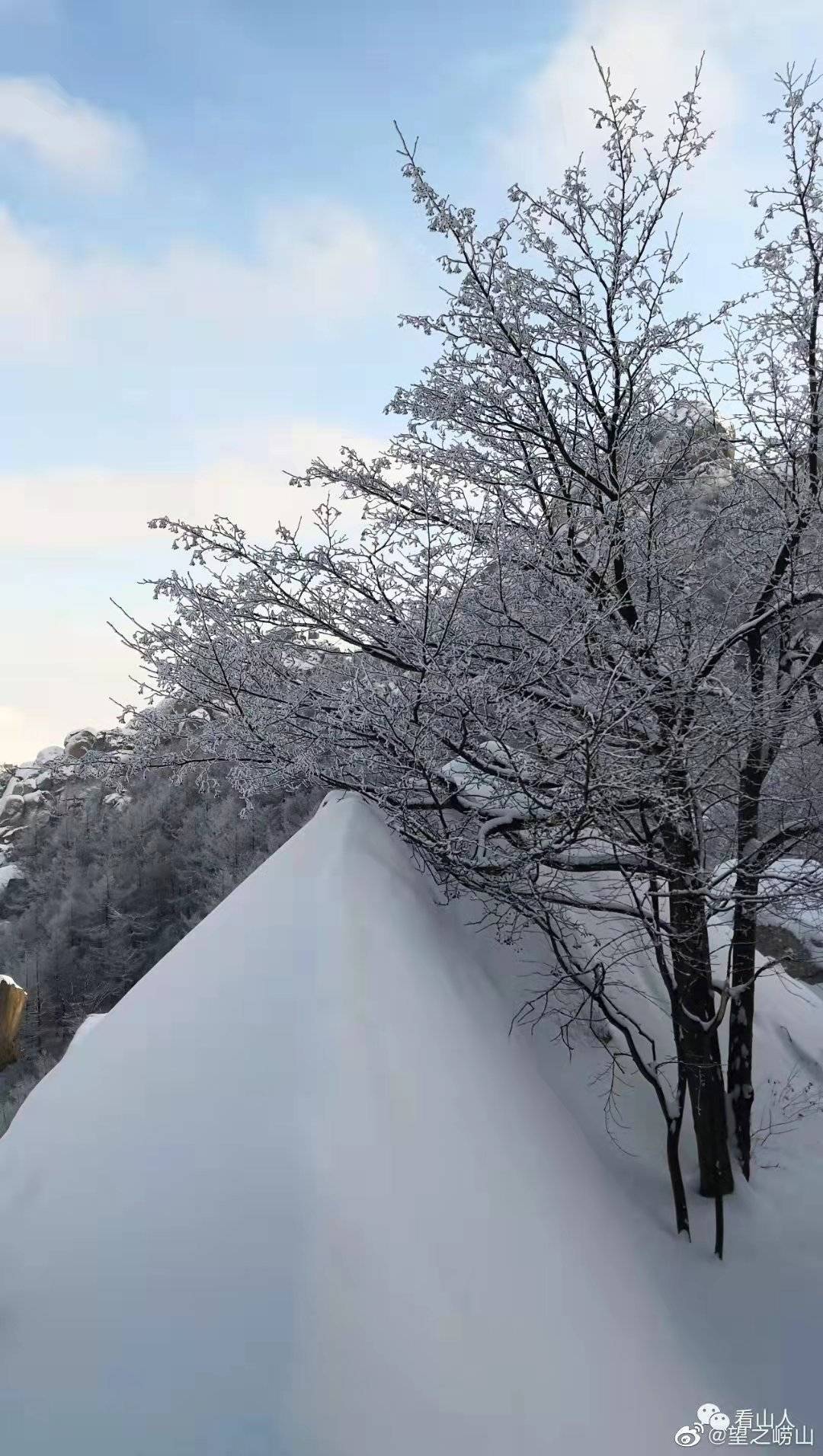 雪景|雪后青岛：雪中景、雪中忙、雪中情、雪中乐……集全了