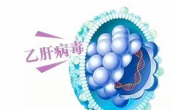 肝脏|乙肝患者,自身的寿命真的会缩短吗?你的理解真的对?看专家理解