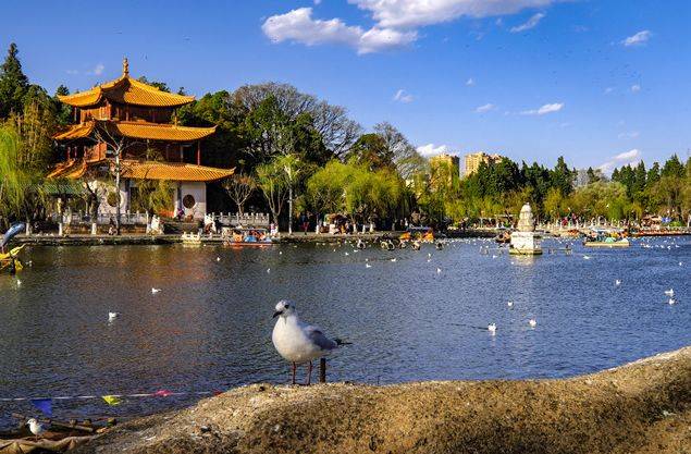 世界春城排行榜，云南居然有6座城市上榜，你去过几个？