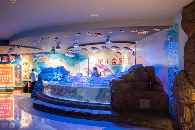  原创 成都浩海立方海洋馆，有全球最大的海洋观景窗，布满浪漫和梦幻