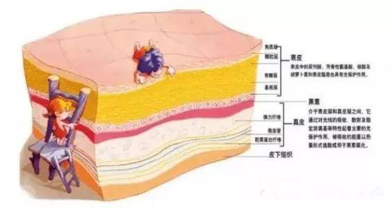 废物经常盐蒸，打造你的细腻皮肤。