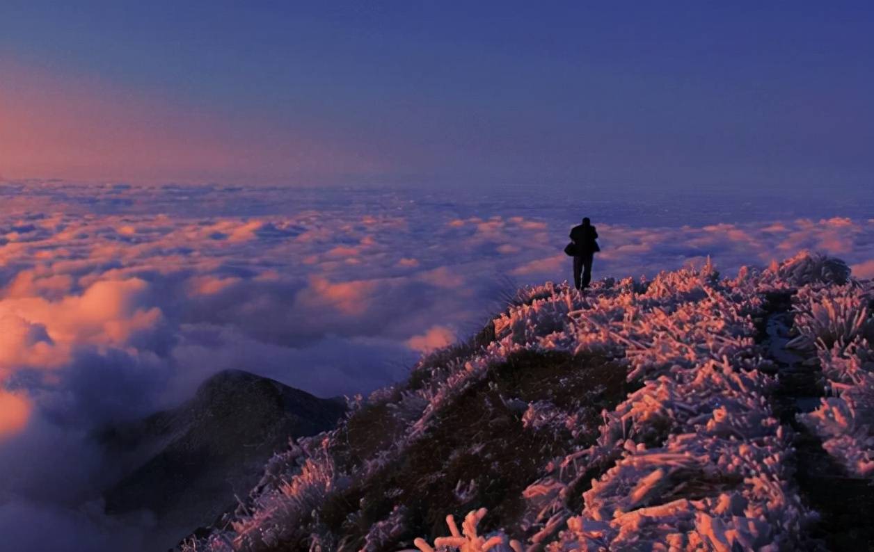 湖南一知名景区，规模庞大景色秀丽，却因停车问题被“屡屡吐槽”